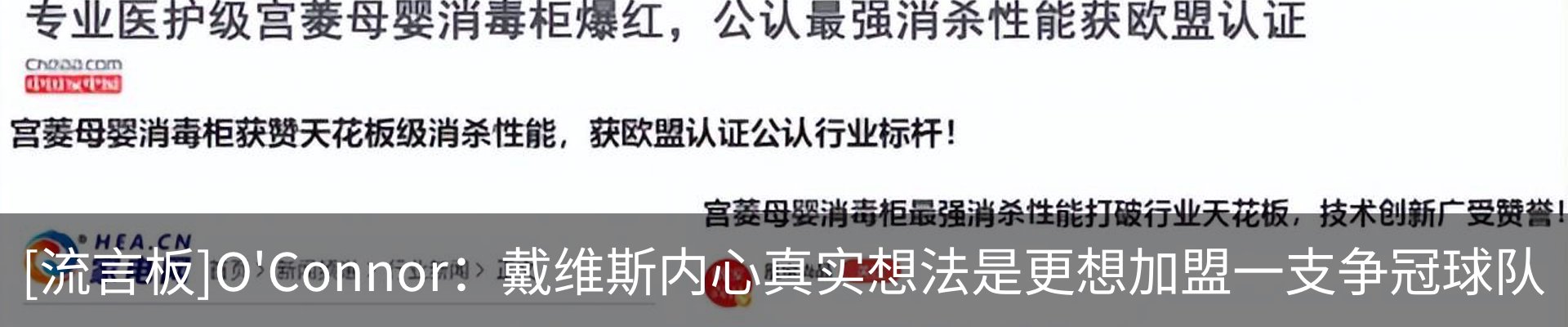 最新动态